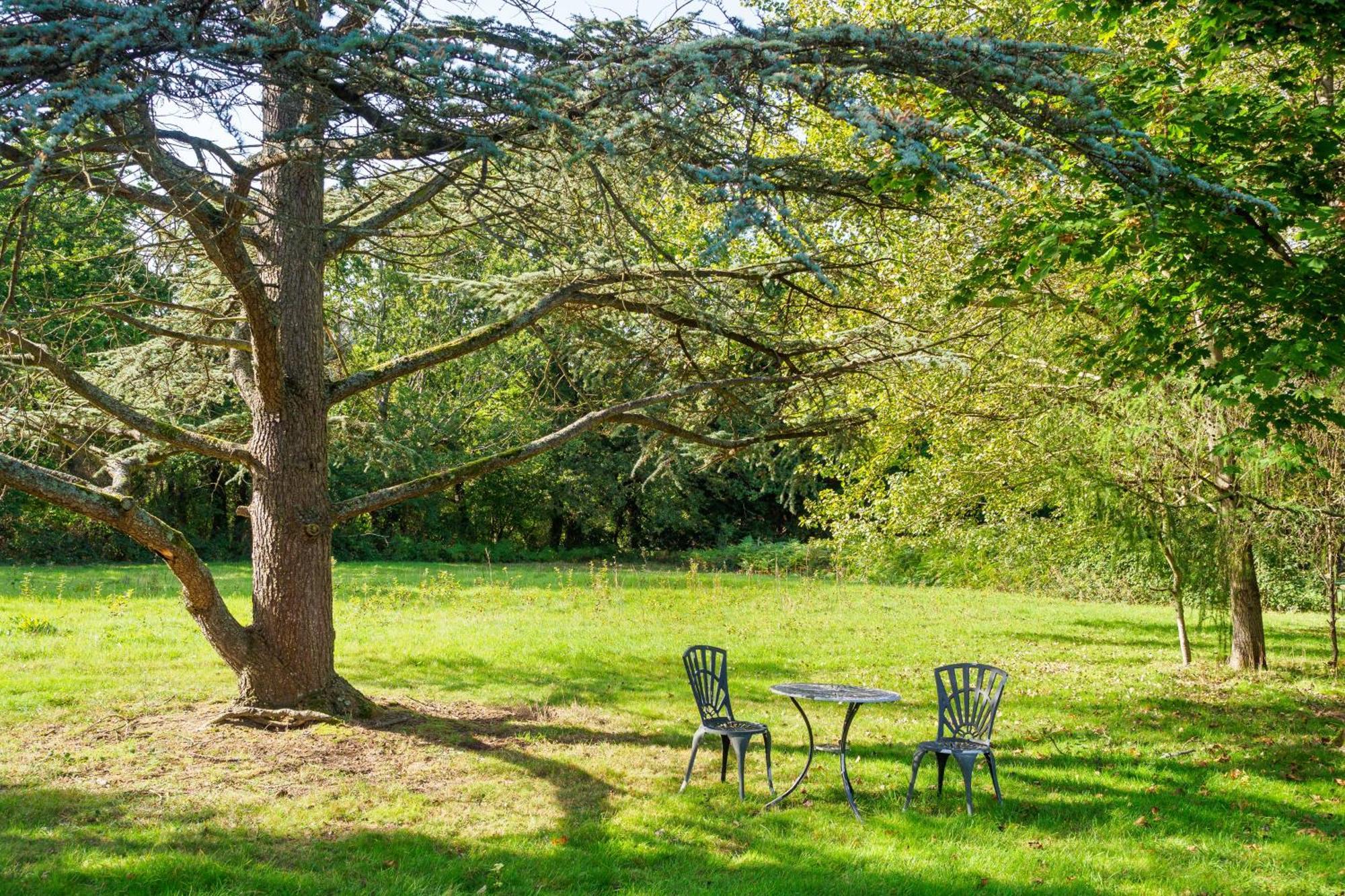 Country Cottage 2Br With Hot Tub And Tennis Court Chiddingly Zewnętrze zdjęcie